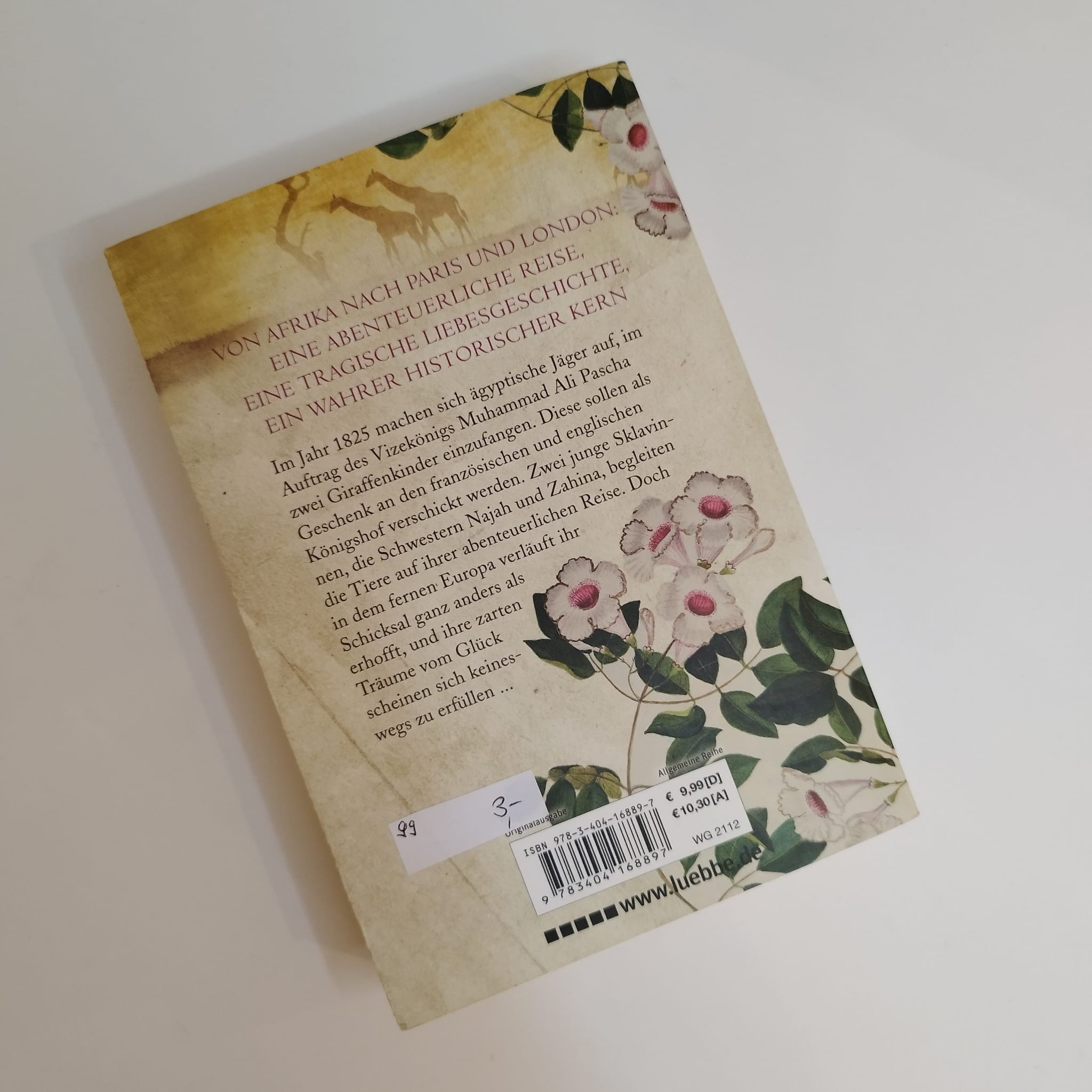 DIE SONNE VON SANNAR - Judith Knigge